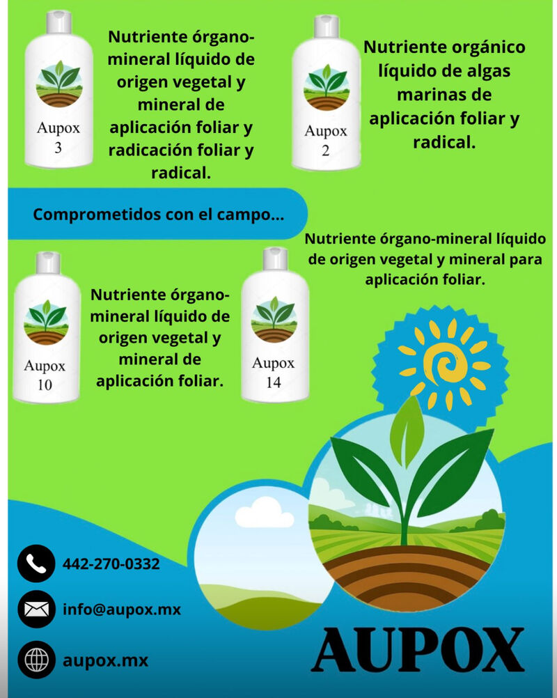 Descripción de la imagen